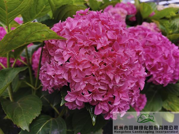 pg电子模拟器(中国)官方网站