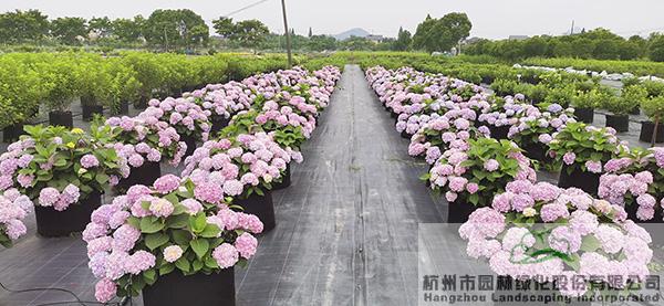 pg电子模拟器(中国)官方网站