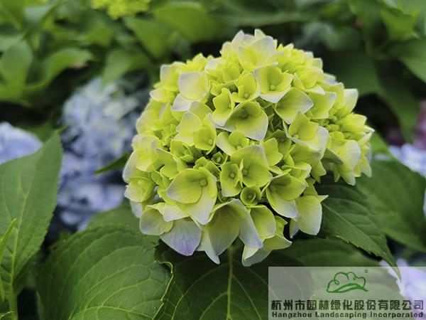 pg电子模拟器(中国)官方网站