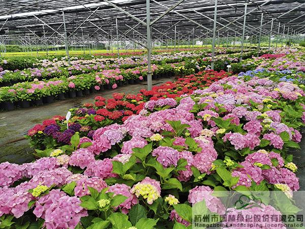 pg电子模拟器(中国)官方网站