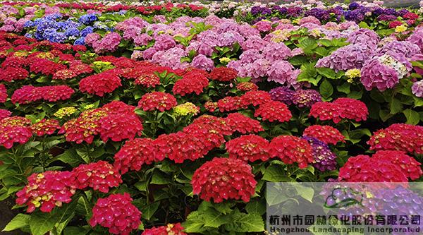 pg电子模拟器(中国)官方网站