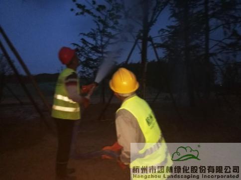 pg电子模拟器(中国)官方网站