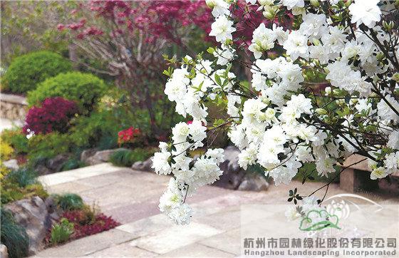 pg电子模拟器(中国)官方网站