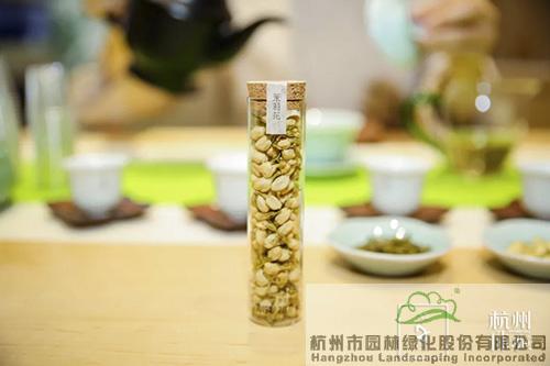 pg电子模拟器(中国)官方网站