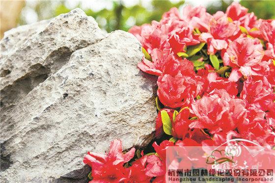 pg电子模拟器(中国)官方网站