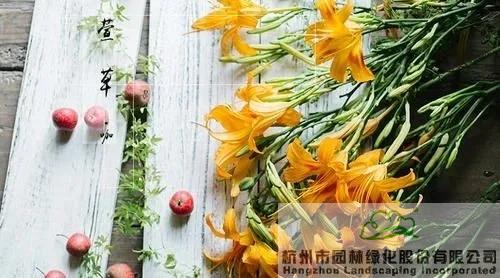 pg电子模拟器(中国)官方网站