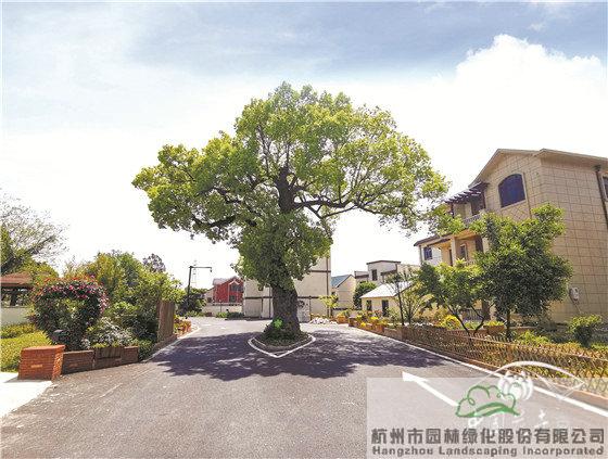 pg电子模拟器(中国)官方网站