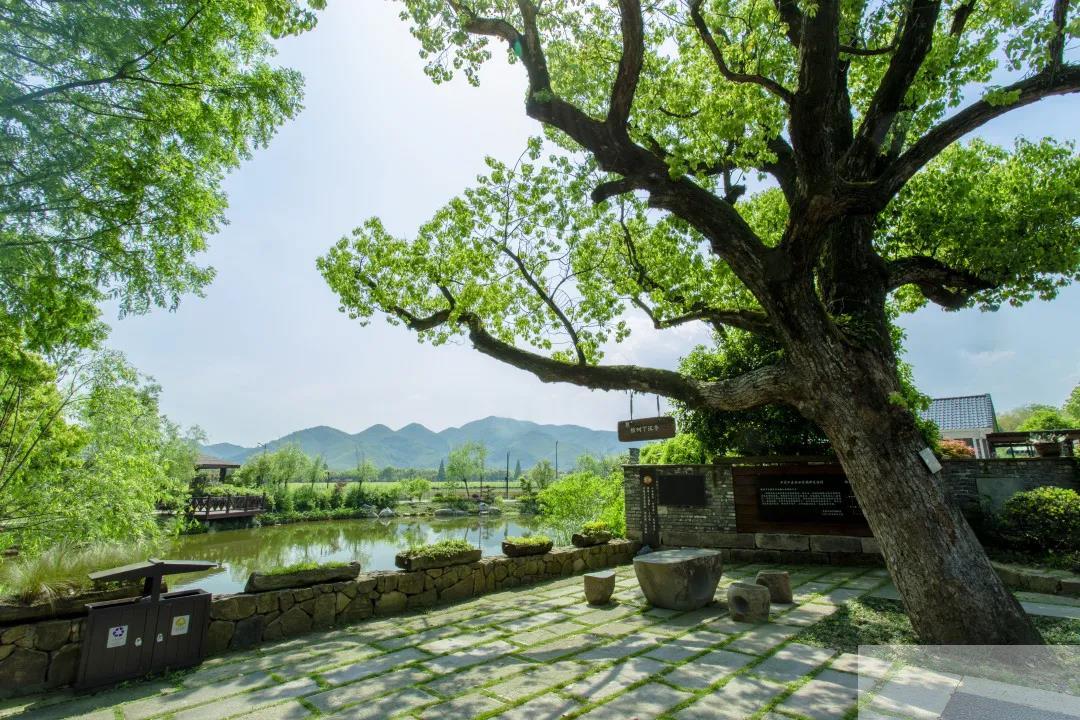 pg电子模拟器(中国)官方网站
