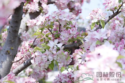 pg电子模拟器(中国)官方网站