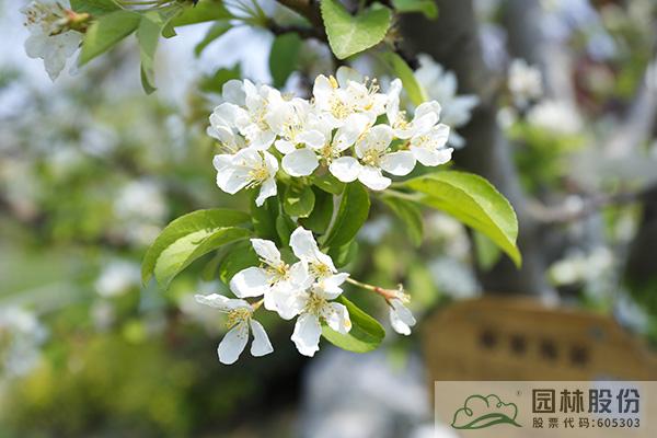 pg电子模拟器(中国)官方网站