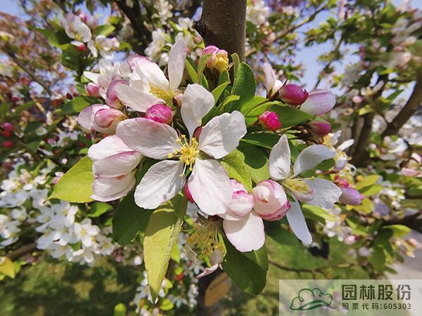 pg电子模拟器(中国)官方网站