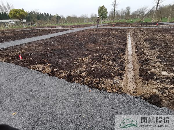 pg电子模拟器(中国)官方网站