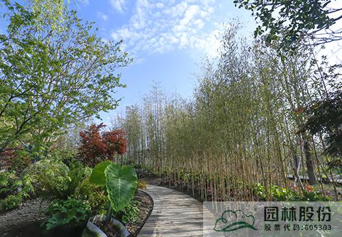pg电子模拟器(中国)官方网站