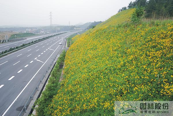 pg电子模拟器(中国)官方网站