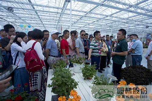 pg电子模拟器(中国)官方网站