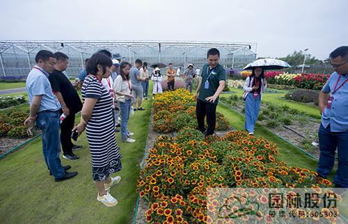 pg电子模拟器(中国)官方网站