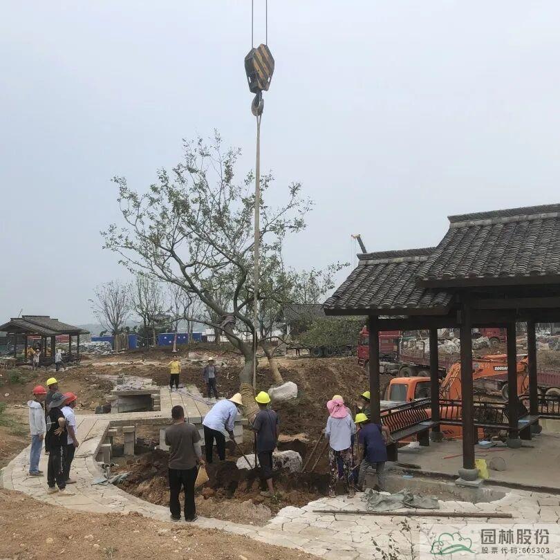 pg电子模拟器(中国)官方网站