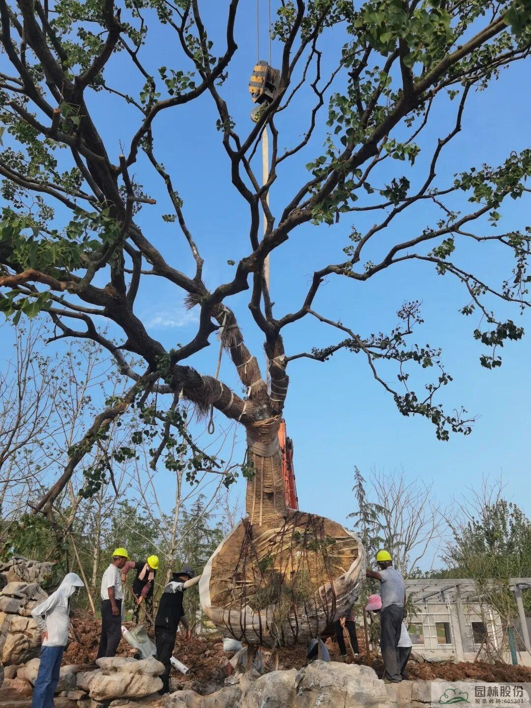 pg电子模拟器(中国)官方网站