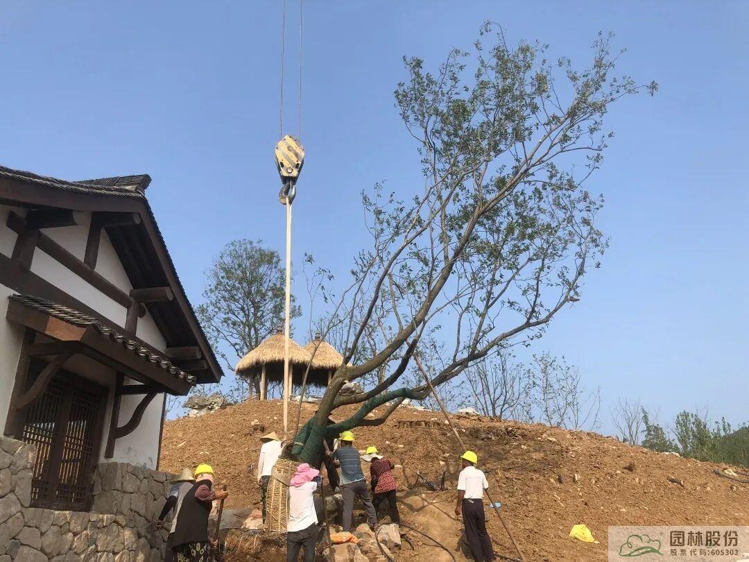 pg电子模拟器(中国)官方网站