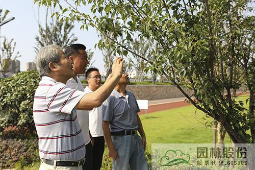 pg电子模拟器(中国)官方网站