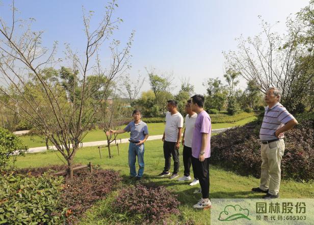 pg电子模拟器(中国)官方网站