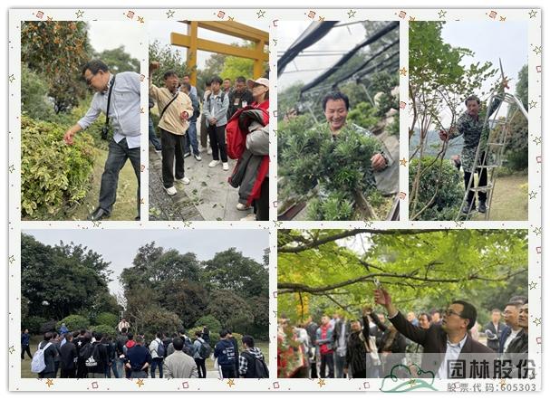 pg电子模拟器(中国)官方网站