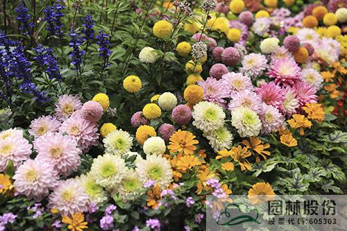 pg电子模拟器(中国)官方网站