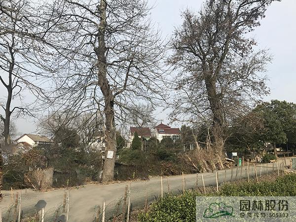 pg电子模拟器(中国)官方网站