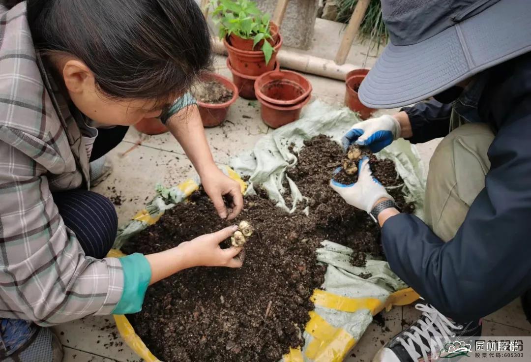 pg电子模拟器(中国)官方网站