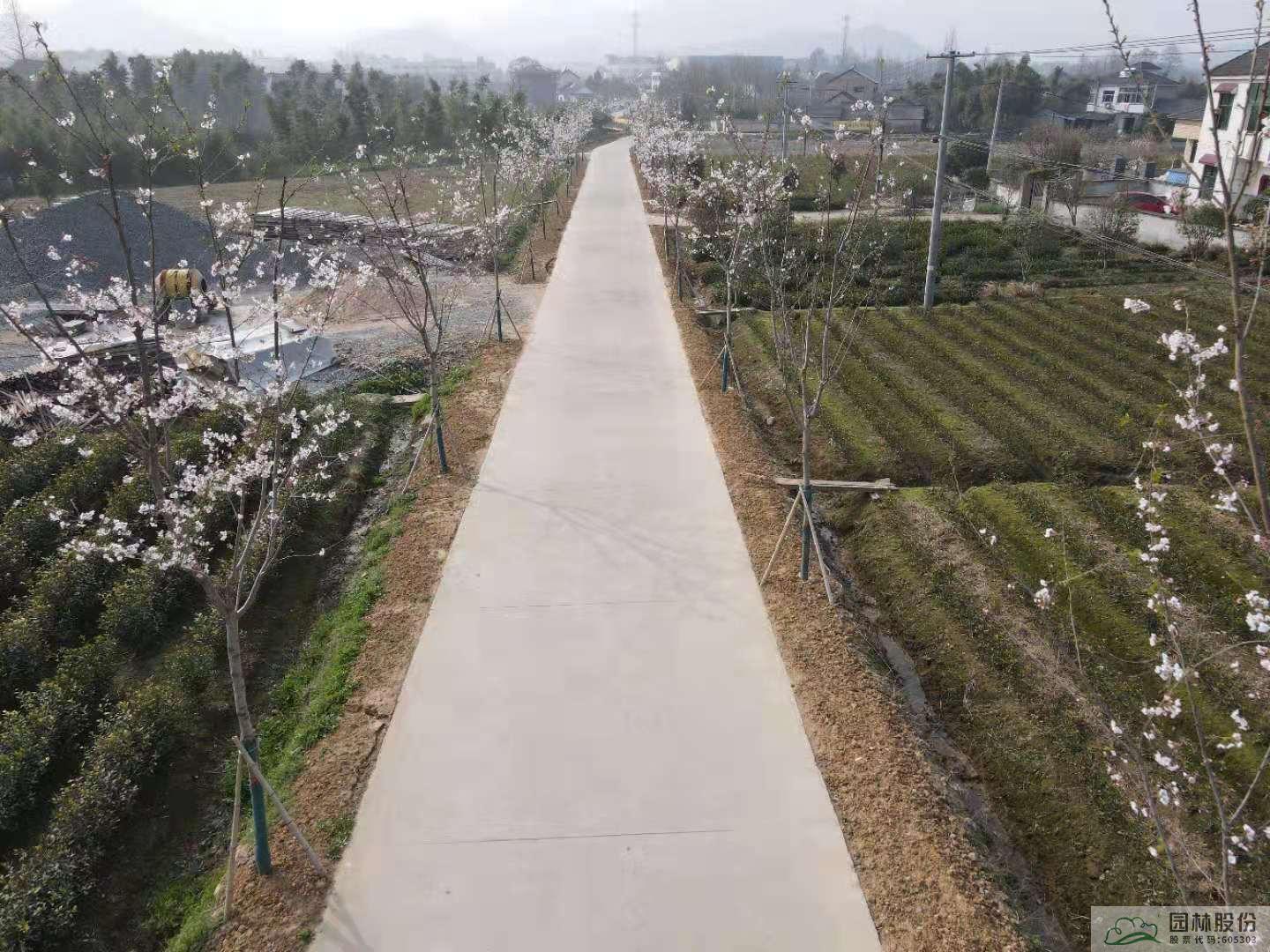 pg电子模拟器(中国)官方网站