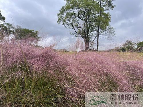 pg电子模拟器(中国)官方网站