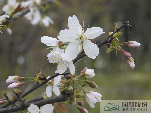 pg电子模拟器(中国)官方网站
