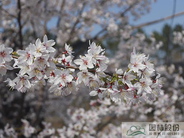 pg电子模拟器(中国)官方网站
