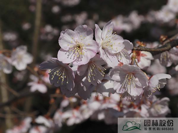 pg电子模拟器(中国)官方网站