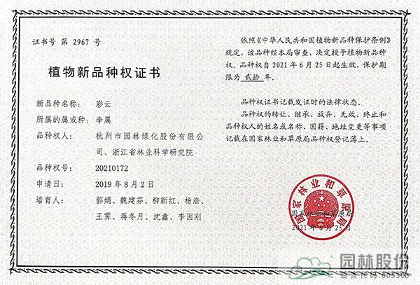 pg电子模拟器(中国)官方网站