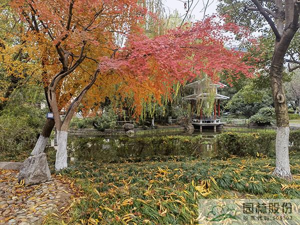 pg电子模拟器(中国)官方网站
