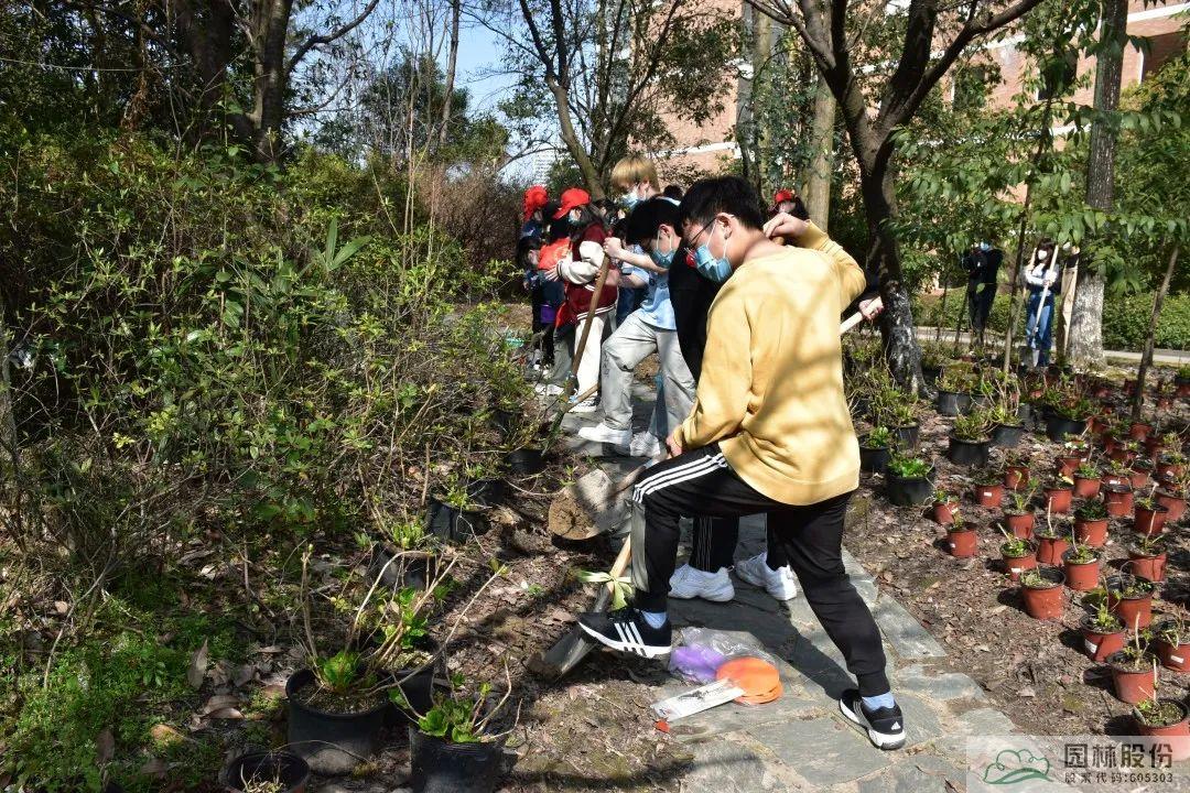 pg电子模拟器(中国)官方网站