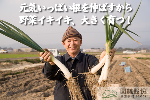 pg电子模拟器(中国)官方网站