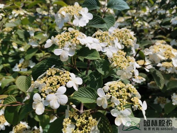 pg电子模拟器(中国)官方网站