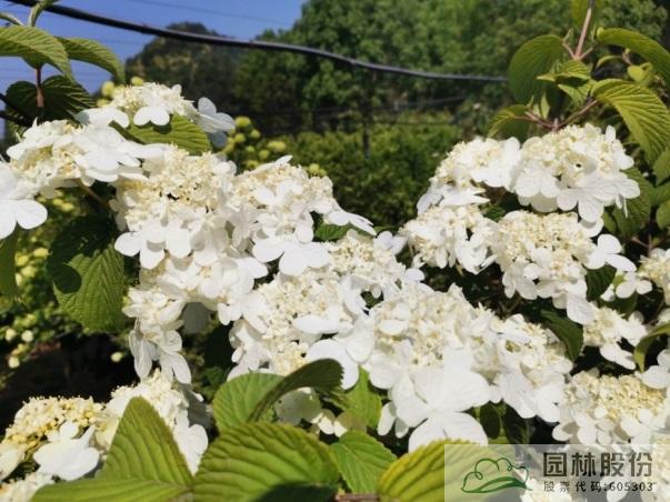 pg电子模拟器(中国)官方网站