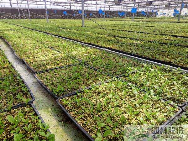 pg电子模拟器(中国)官方网站