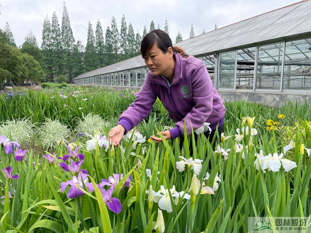 pg电子模拟器(中国)官方网站