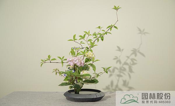 pg电子模拟器(中国)官方网站