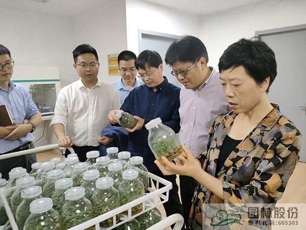 pg电子模拟器(中国)官方网站