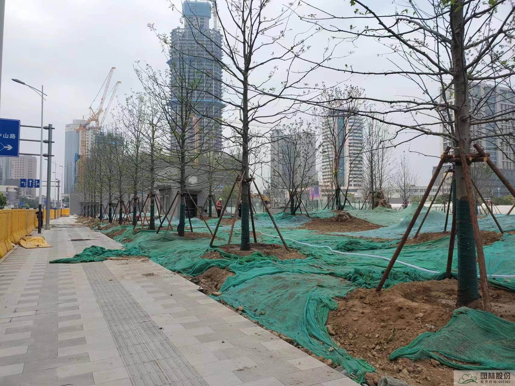 pg电子模拟器(中国)官方网站