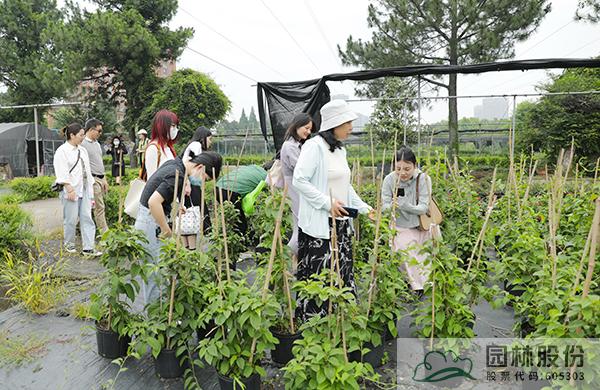 pg电子模拟器(中国)官方网站