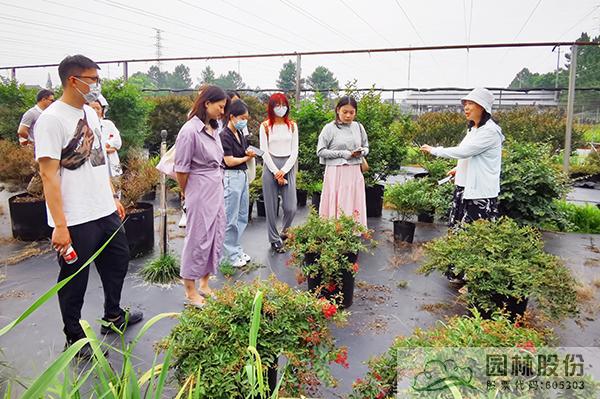 pg电子模拟器(中国)官方网站