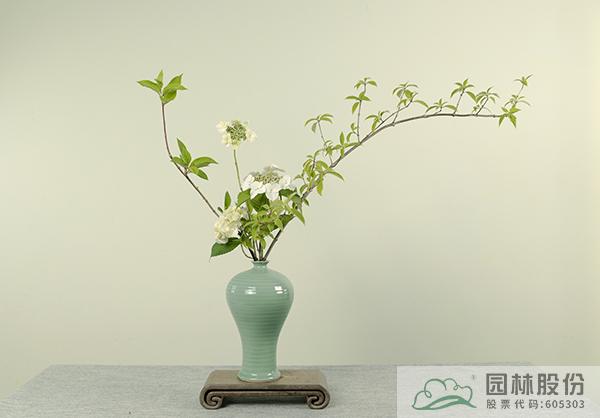 pg电子模拟器(中国)官方网站