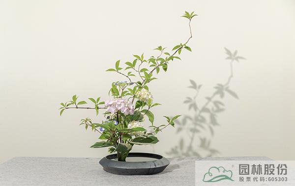 pg电子模拟器(中国)官方网站
