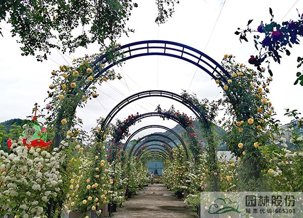 pg电子模拟器(中国)官方网站